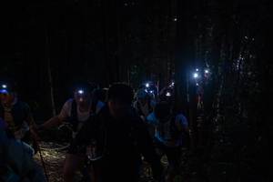 BIB: 
                            <button type="button" onclick="openModal(19209095)" class="btn btn-primary btn-sm float-right btn-popup" data-toggle="modal" data-target=".modal-high-quality">
                        <i class="fas fa-shopping-cart"></i> Add to Cart
                    </button>
                                            <button type="button" onclick="isThisMe(19209095, true)" class="btn btn-success btn-sm float-right btn-popup btn-isme hidden" data-toggle="tooltip" data-placement="bottom" title="นี่คือรูปของคุณใช่ไหม คลิกที่นี่เพื่อเอาเข้าอัลบั้ม">
                        <i class="fas fa-plus"></i> Add to album
                    </button>
                    <button type="button" onclick="isThisMe(19209095, false)" class="btn btn-warning btn-sm float-right btn-popup btn-isnotme hidden">
                        <i class="fas fa-ban"></i> Remove from album
                    </button>